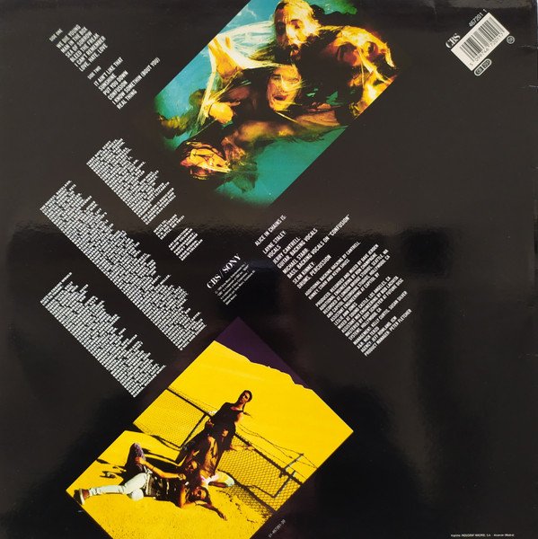 Alice In Chains, Grunge, LP | Historia Nuestra