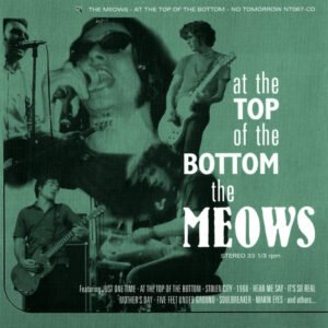 CD, Power Pop, Rock Roll, The Meows | Historia Nuestra