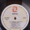 Garage Rock, LP, The Kingsmen | Historia Nuestra