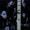Energy Orchard, Folk Rock, LP | Historia Nuestra