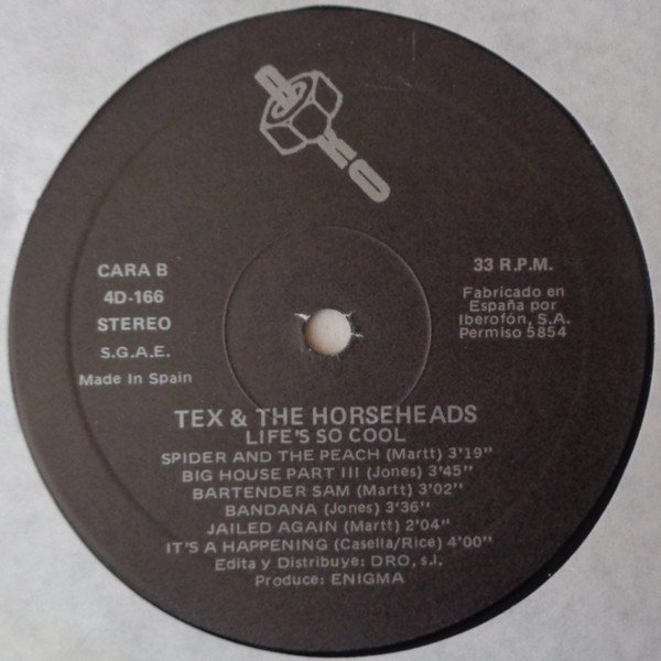 Country Blues, Country Rock, Heavy Metal, LP, Punk, Tex & The Horseheads | Historia Nuestra