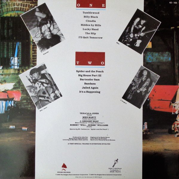 Country Blues, Country Rock, Heavy Metal, LP, Punk, Tex & The Horseheads | Historia Nuestra