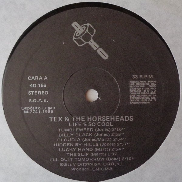 Country Blues, Country Rock, Heavy Metal, LP, Punk, Tex & The Horseheads | Historia Nuestra