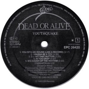 Dead Or Alive, Hi NRG, LP, Synthpop | Historia Nuestra