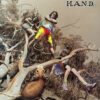 12 inch, Alternative Rock, H.A.N.D.* | Historia Nuestra