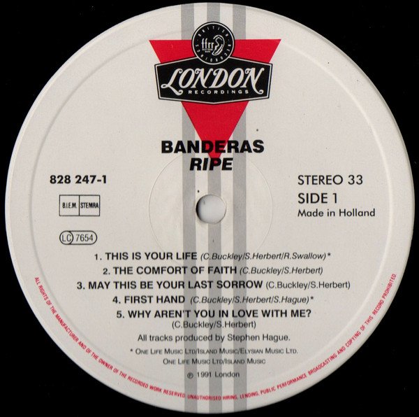 Banderas, Downtempo, LP, Synthpop | Historia Nuestra