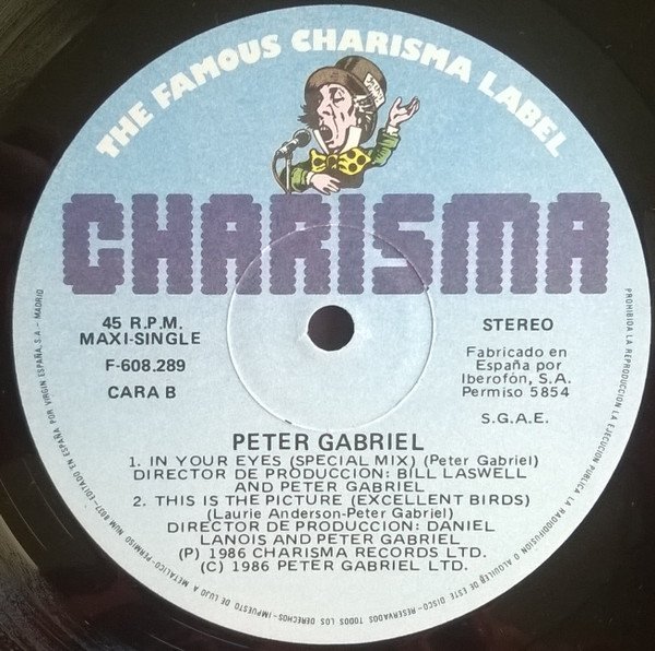 12 inch, Kate Bush, Peter Gabriel, Synthpop | Historia Nuestra