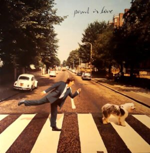 LP, Paul McCartney, Pop Rock | Historia Nuestra