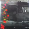 Ny MTU LmpwZWc jpeg, Graham Parker And The Rumour, Historia Nuestra