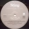 Sting ...Nothing Like The Sun-2xLP | Vinilos de Música | Historia Nuestra LP, Pop Rock, Soft Rock, Sting | Historia Nuestra