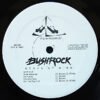 Bushrock State Of Mind-LP | Vinilos de Música | Historia Nuestra Afrobeat, Art Rock, Bushrock, Experimental, JazzFunk, LP | Historia Nuestra