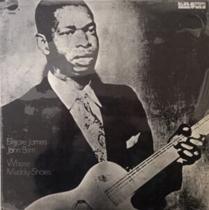 Chicago Blues, Elmore James, John Brim, LP | Historia Nuestra
