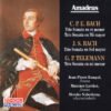 OC zNzIzLmpwZWc jpeg, C.P.E. Bach · J.S. Bach · G.P. Telemann · Jean-Pierre Rampal, Maxence Larrieu, Motoko Nabeshima, Historia Nuestra