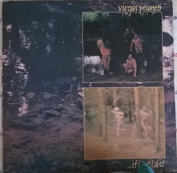 Darkwave, Goth Rock, LP, Virgin Prunes | Historia Nuestra