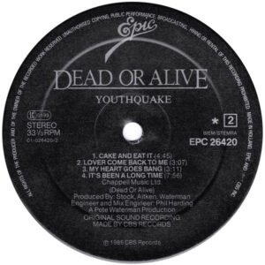 Dead Or Alive, Hi NRG, LP, Synthpop | Historia Nuestra
