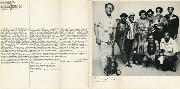 Chicago Blues, Electric Blues, LP, Various | Historia Nuestra