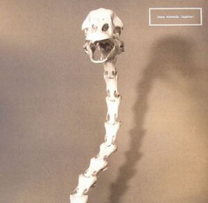 12 inch, Electro, Jason Edwards, Neofolk, Techno | Historia Nuestra