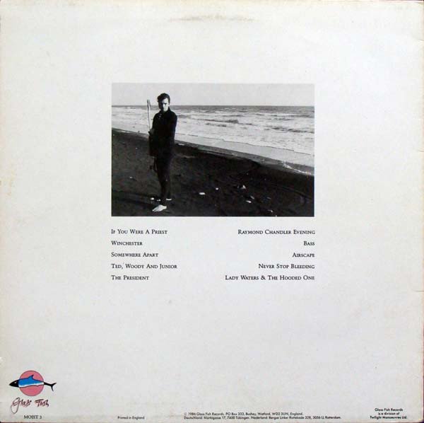 Robyn Hitchcock & The Egyptians Element Of Light-LP | Vinilos de Música | Historia Nuestra Folk Rock, Indie Rock, LP, Psychedelic Rock, Robyn Hitchcock & The Egyptians | Historia Nuestra