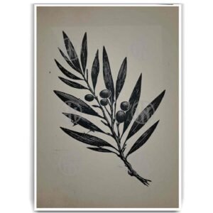 Olivo Minimalista Tatuajes Estilos Poster de Historia, Olivo Minimalista-El Póster Personalizado, Historia Nuestra