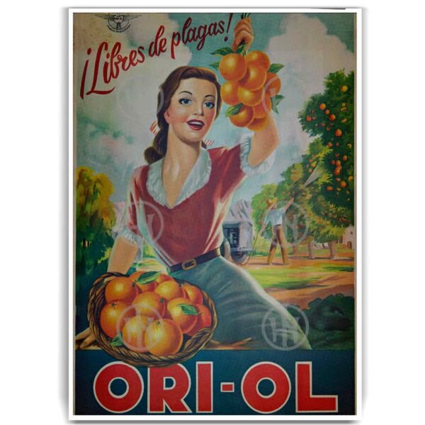 Póster, Poster CartelesPosters Historia Nuestra, Póster Historia, Póster Ori-ol | Historia Nuestra