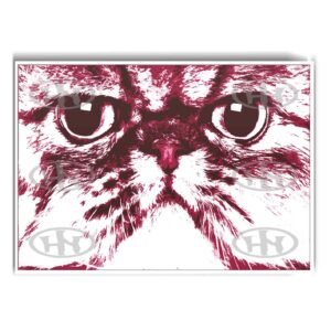 Póster, Póster Animales, Poster MascotasPosters Historia Nuestra, Póster Persa | Historia Nuestra