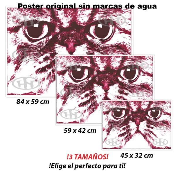 Persa Animales Mascotas, Persa-El Póster Personalizado, Historia Nuestra
