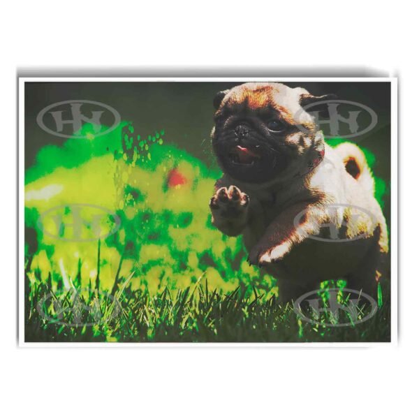 Pug Animales Mascotas, Pug-El Póster Personalizado, Historia Nuestra