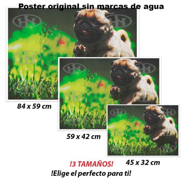 Pug Animales Mascotas, Pug-El Póster Personalizado, Historia Nuestra