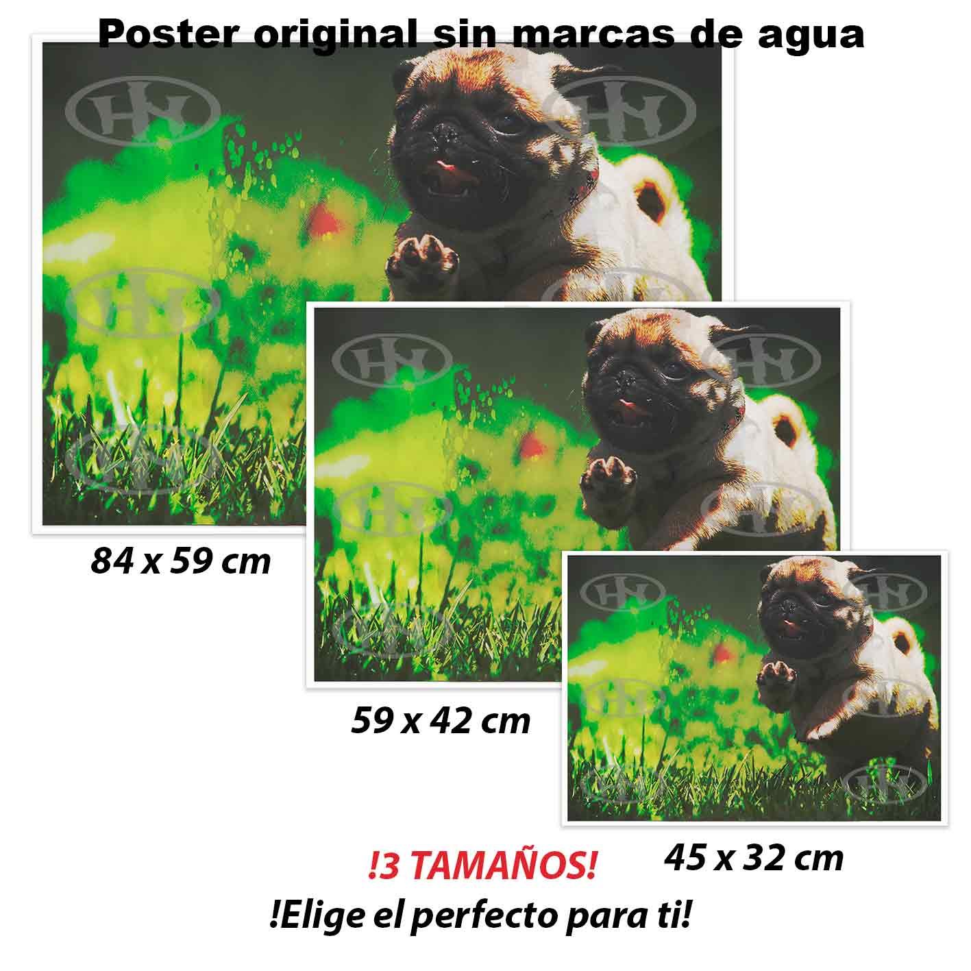 Pug-El Póster Personalizado Para Tu Espacio, Animales, Historia Nuestra Pug Animales Mascotas, Pug-El Póster Personalizado, Historia Nuestra