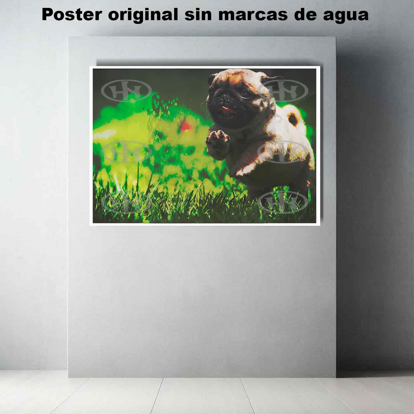 Pug-El Póster Personalizado Para Tu Espacio, Animales, Historia Nuestra Pug Animales Mascotas, Pug-El Póster Personalizado, Historia Nuestra