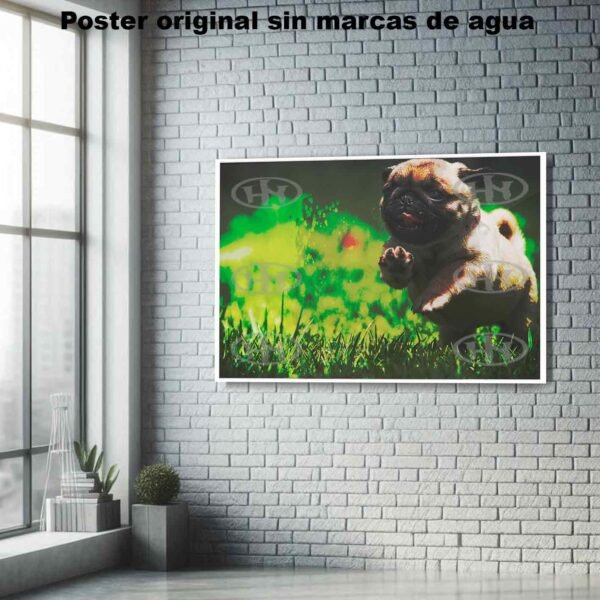 Pug Animales Mascotas, Pug-El Póster Personalizado, Historia Nuestra