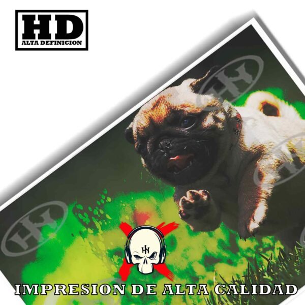 Pug Animales Mascotas, Pug-El Póster Personalizado, Historia Nuestra