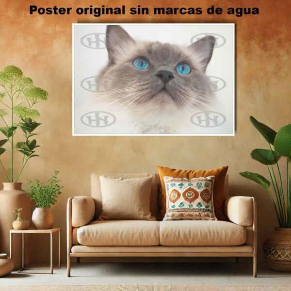 Ragdoll Animales Mascotas, Ragdoll-El Póster Personalizado, Historia Nuestra