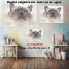 Ragdoll-El Póster Personalizado Para Tu Espacio, Animales, Historia Nuestra Ragdoll Animales Mascotas, Ragdoll-El Póster Personalizado, Historia Nuestra