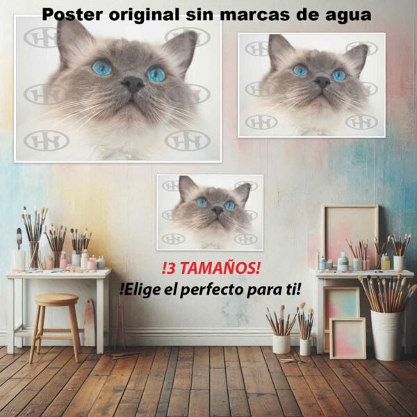 Ragdoll Animales Mascotas, Ragdoll-El Póster Personalizado, Historia Nuestra