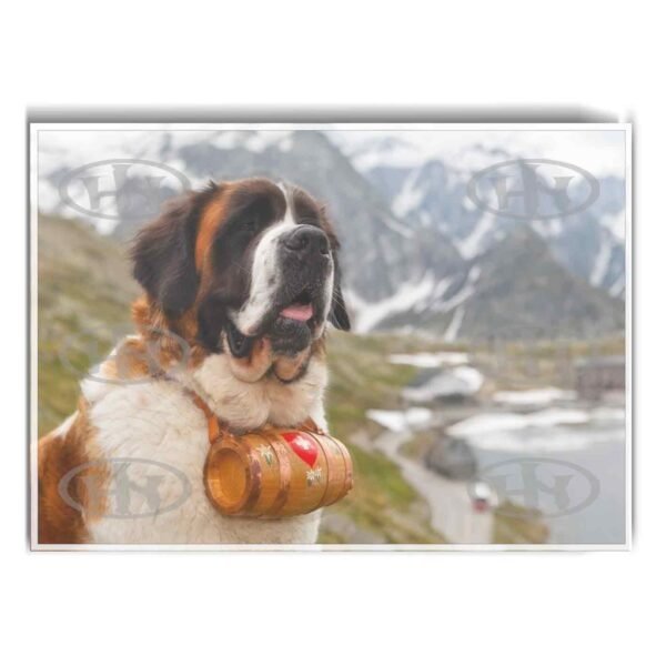 Póster, Póster Animales, Poster MascotasPosters Historia Nuestra, Póster San Bernardo | Historia Nuestra