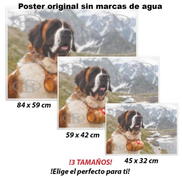 San Bernardo Animales Mascotas, San Bernardo-El Póster Personalizado, Historia Nuestra