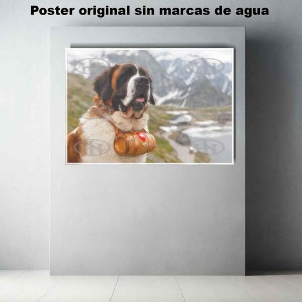 San Bernardo Animales Mascotas, San Bernardo-El Póster Personalizado, Historia Nuestra