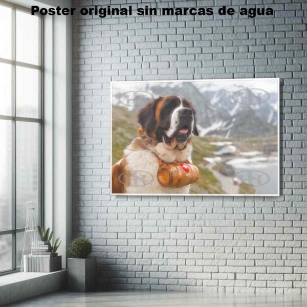 San Bernardo Animales Mascotas, San Bernardo-El Póster Personalizado, Historia Nuestra
