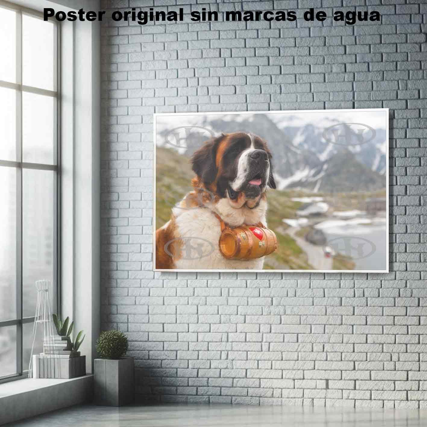 San Bernardo-El Póster Personalizado Para Tu Espacio, Animales, Historia Nuestra San Bernardo Animales Mascotas, San Bernardo-El Póster Personalizado, Historia Nuestra