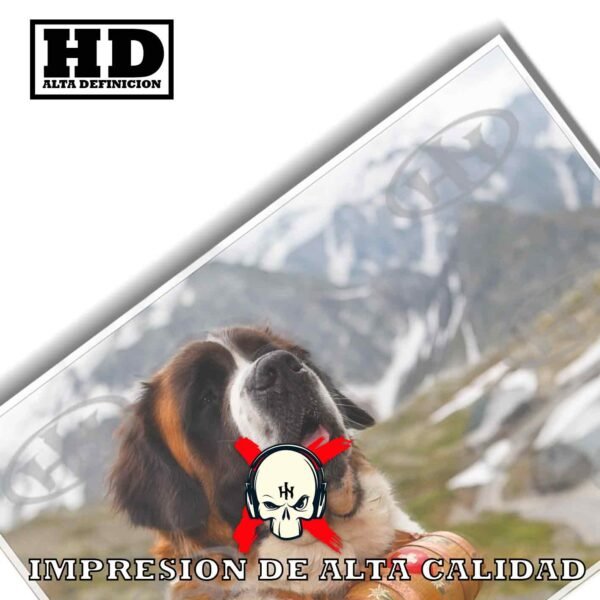 San Bernardo Animales Mascotas, San Bernardo-El Póster Personalizado, Historia Nuestra