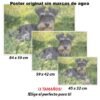 Schnauzer-El Póster Personalizado Para Tu Espacio, Animales, Historia Nuestra Schnauzer Animales Mascotas, Schnauzer-El Póster Personalizado, Historia Nuestra