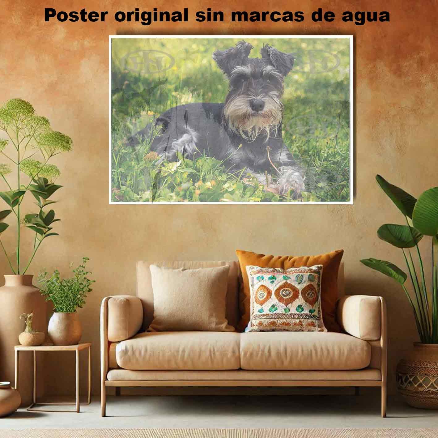 Schnauzer-El Póster Personalizado Para Tu Espacio, Animales, Historia Nuestra Schnauzer Animales Mascotas, Schnauzer-El Póster Personalizado, Historia Nuestra