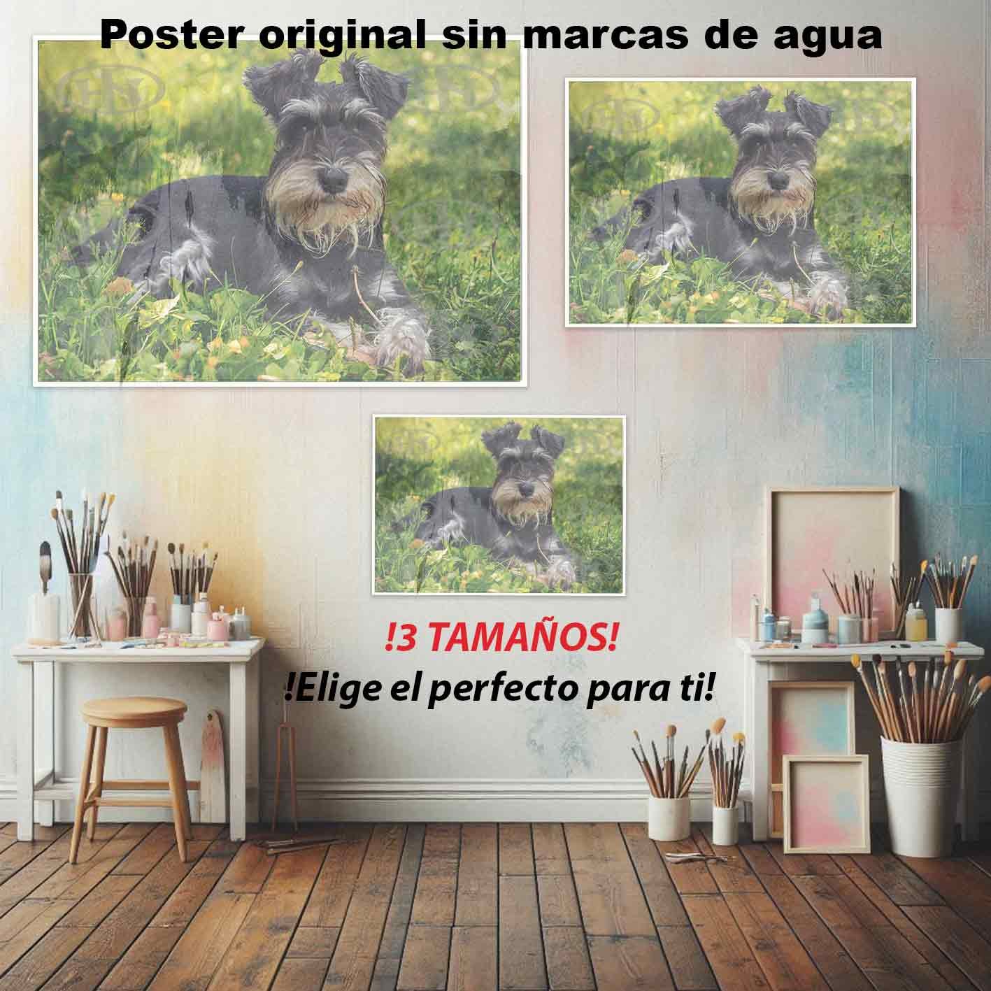Schnauzer-El Póster Personalizado Para Tu Espacio, Animales, Historia Nuestra Schnauzer Animales Mascotas, Schnauzer-El Póster Personalizado, Historia Nuestra