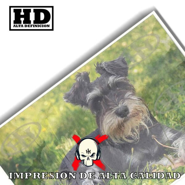 Schnauzer Animales Mascotas, Schnauzer-El Póster Personalizado, Historia Nuestra