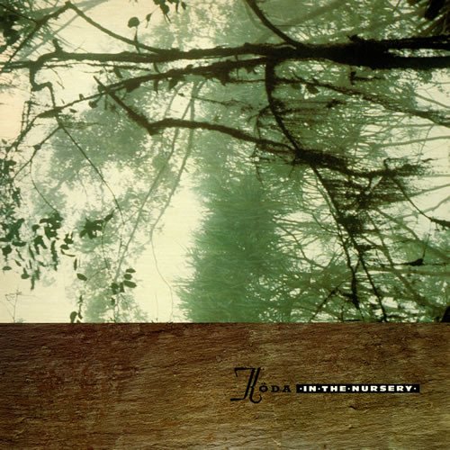 Experimental, In The Nursery, Industrial, LP, Modern Classical | Historia Nuestra