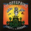 LTIyMjUuanBlZw jpeg, The Offspring, Historia Nuestra
