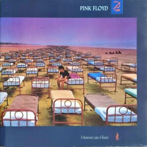 Pink Floyd A Momentary Lapse Of Reason-LP