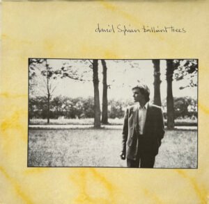 David Sylvian, Brilliant Trees - LP