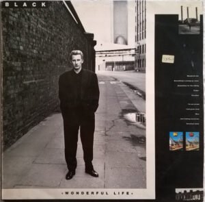 Black, Wonderful Life - LP
